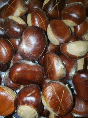 chestnuts ready for roasting