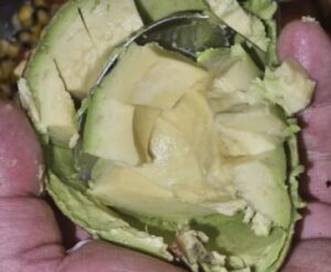 scoop avocado